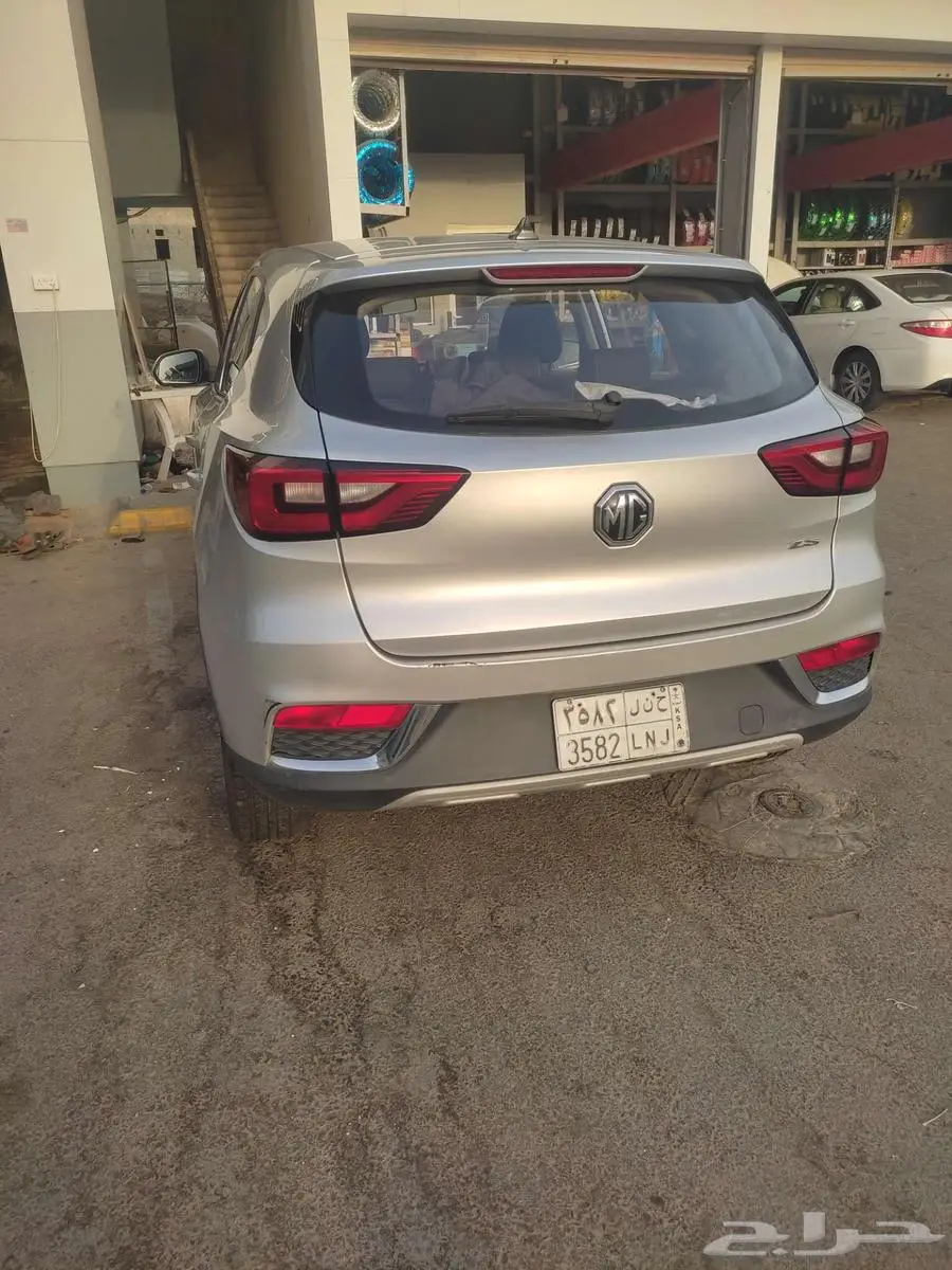 Mg zs 2018 index