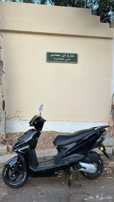 عجيب بلوحته 0