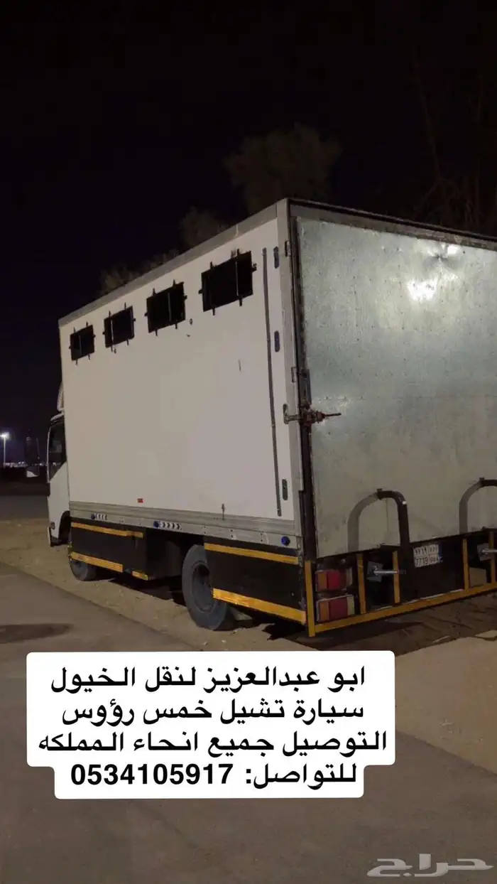 دينا خيل 0