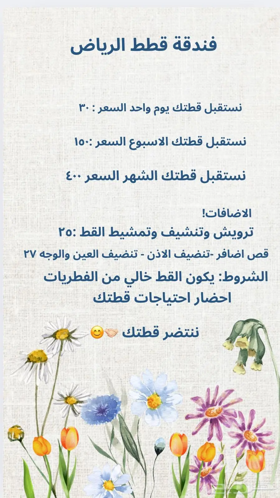 فندقة قطط 0