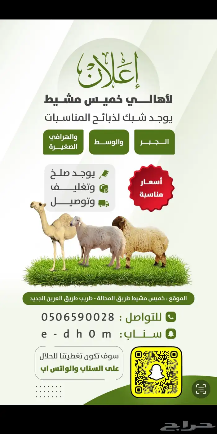 خروف جبر ناهي مليان طرف وظهر مجمل (انباع) 3