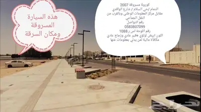 سيارة مسروقة 2