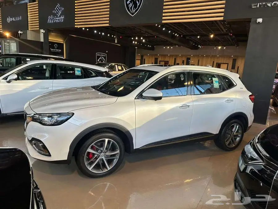 MG HS 2023 FULL OPN index