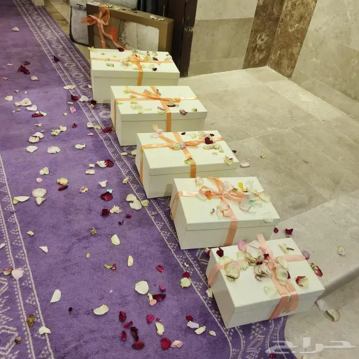 نقل دبش العروسة في جدة 12