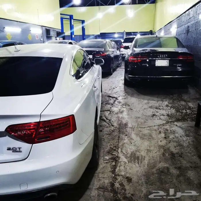 دودة بي ام - بورش - مرسيدس 2