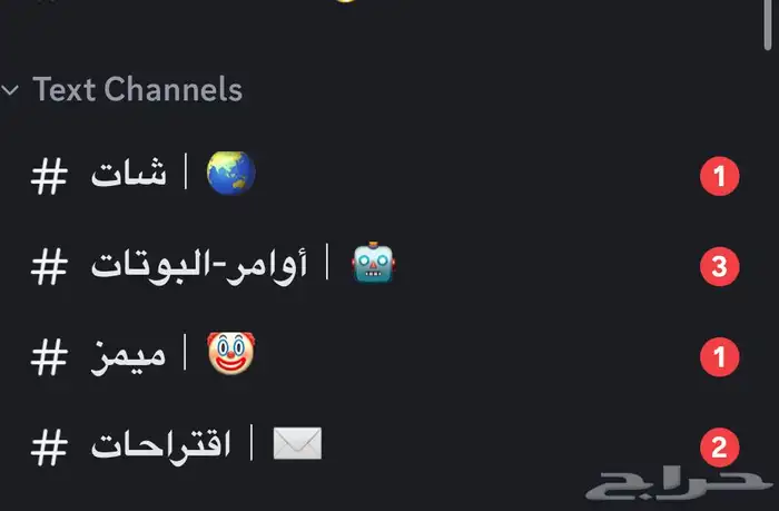 سيرفر ديسكورد للبيع 1000 عضو 2
