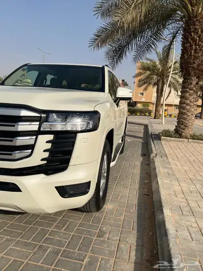 جكسار 2022 رقم 2 33