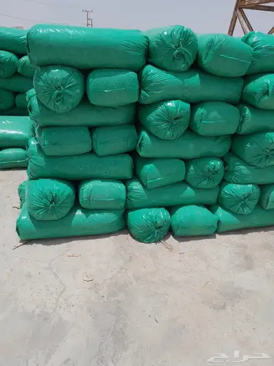 مطلوب معلم نشارة 1