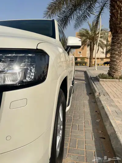 جكسار 2022 رقم 2 31