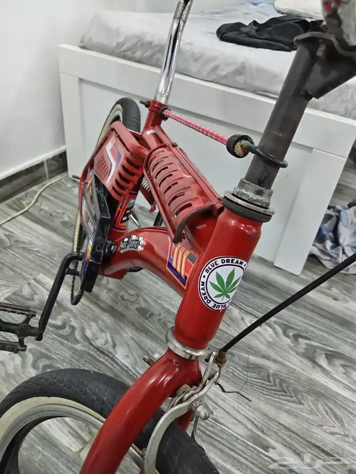 سيكل مجنط اندنوسي 0