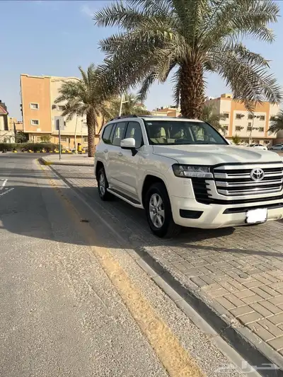 جكسار 2022 رقم 2 1