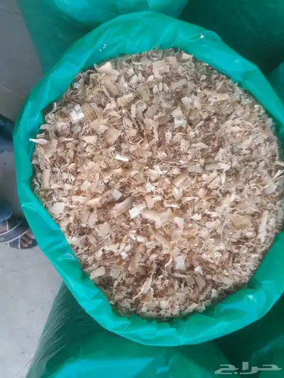 مطلوب معلم نشارة 0