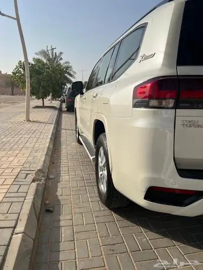 جكسار 2022 رقم 2 34