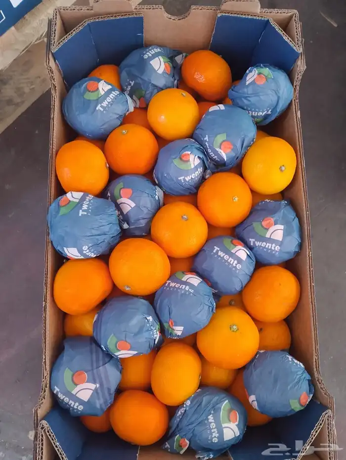 البيع بالجملة خضار وفواكه 12