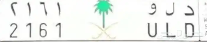 لوحة مميزة دلو دلع دلال داليا 0