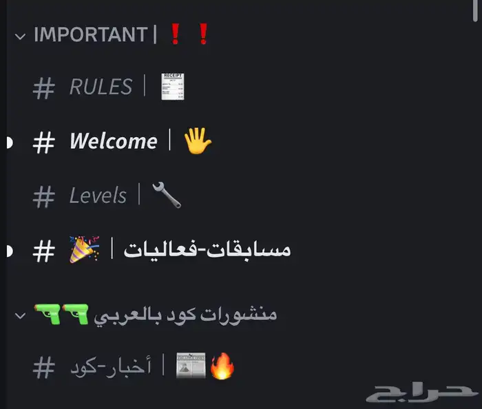 سيرفر ديسكورد للبيع 1000 عضو 1