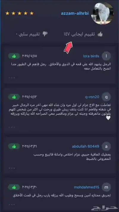 ببغاء كنيور اليف مع الاطفال هدد 6