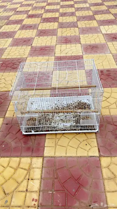 اقفاص مستخدم للبيع 1