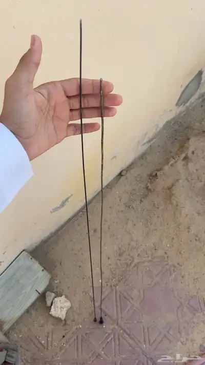انتل للبيع 3