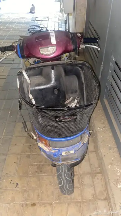 دباب بطه للبيع 1