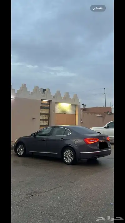 كادنزا للبيع 1