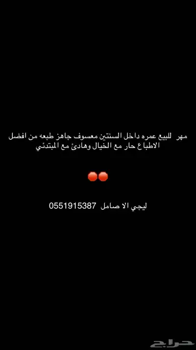 حصان للبيع 0