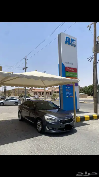 كادنزا للبيع 0