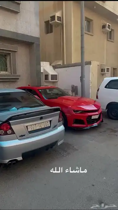 لومينا SS 2006 1