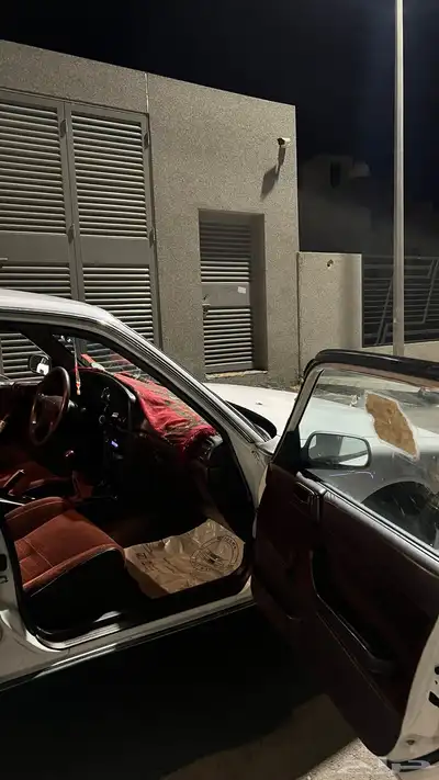 كرسيدا 1996 22