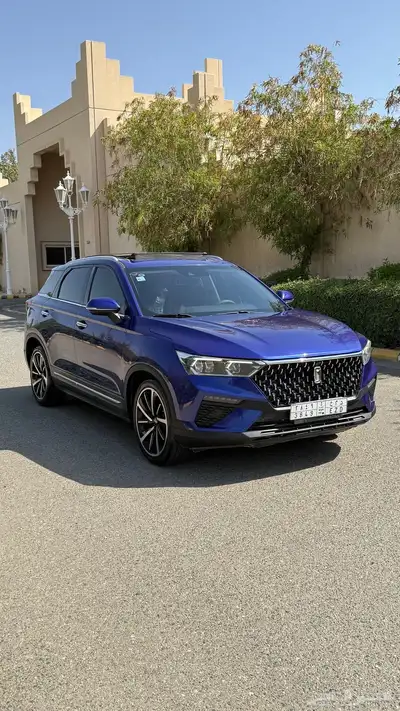 فاو بيستوون T 77 مستعمل 2022 7