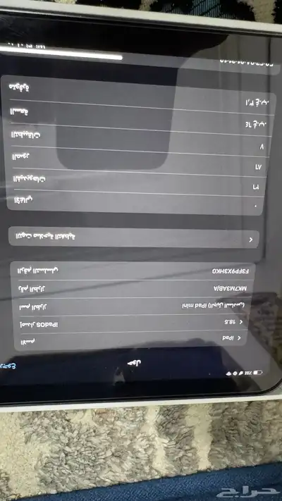 ايباد ميني 6 2