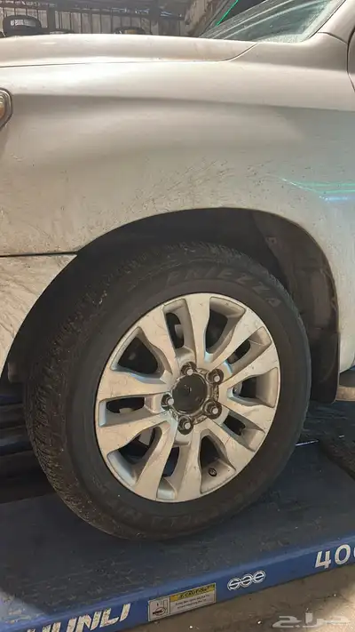 جنوط اسكوياء لمتد 3