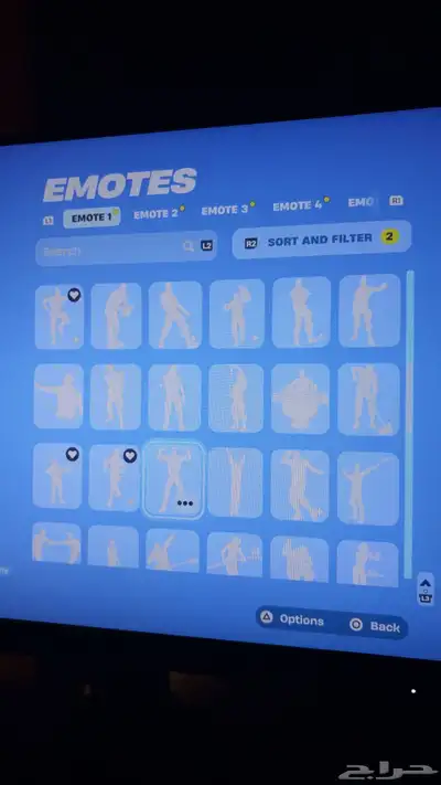 حساب فورت مايت أساسي 19