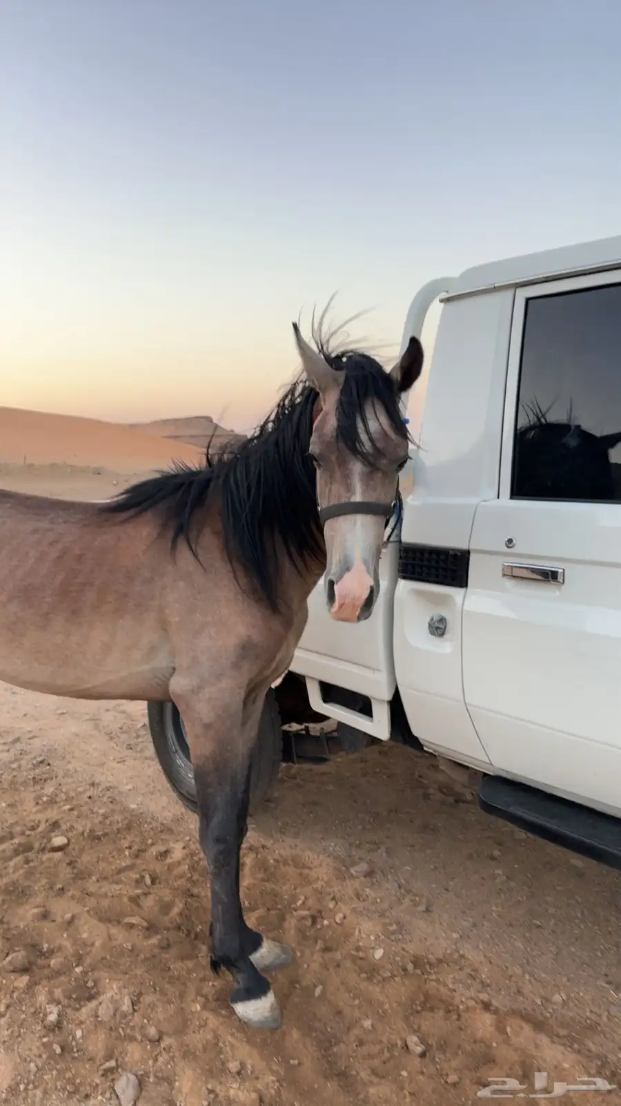 مهر 0