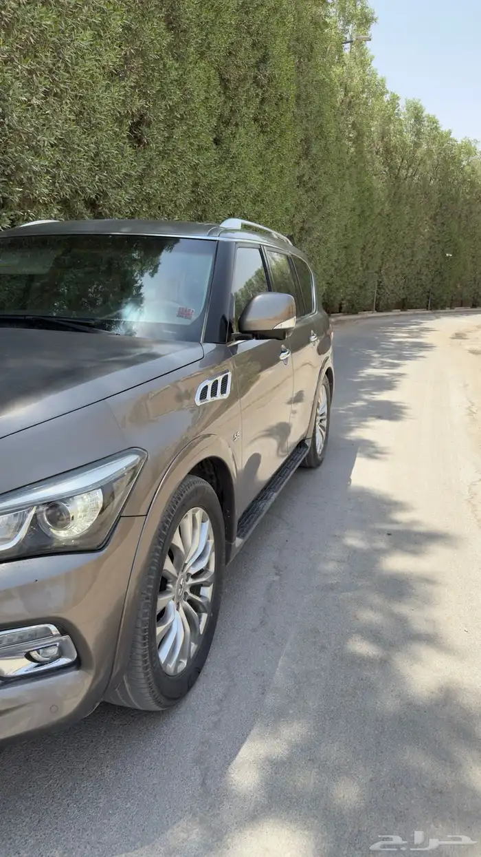 جيب انفينيت QX80 2016 1
