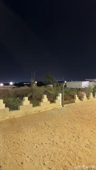 ايواء وعسف 2
