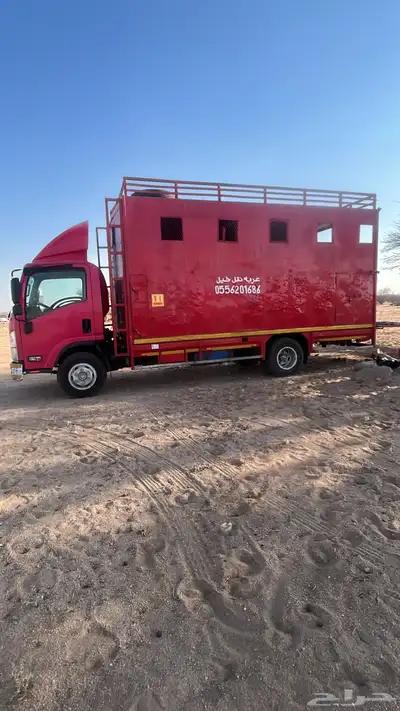عربه نقل خيل متواجدة بطائف 0
