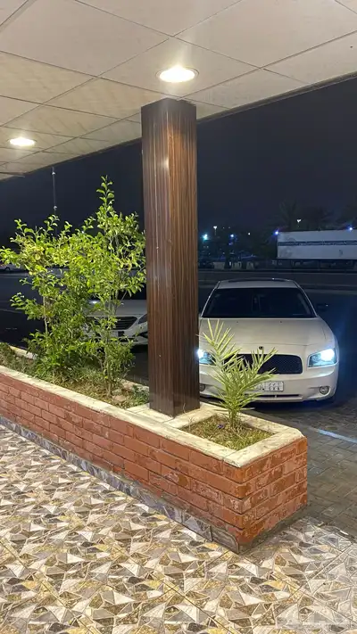 دوج للبيع 7