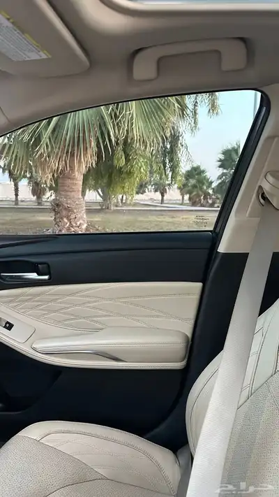 افالون 2019 22