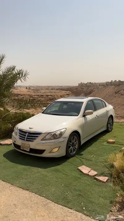 جنسس 12