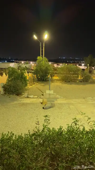 ايواء وعسف 3