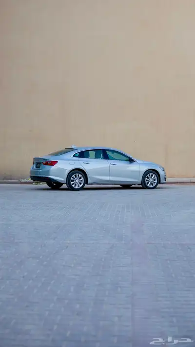 ماليبو (2022) 1