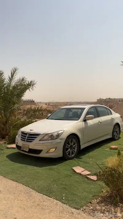 جنسس 17