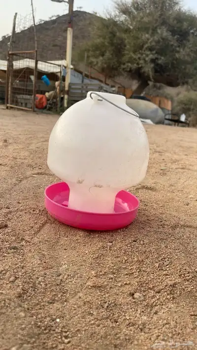 معالف دجاج للبيع 0