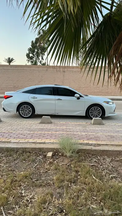 افالون 2019 7