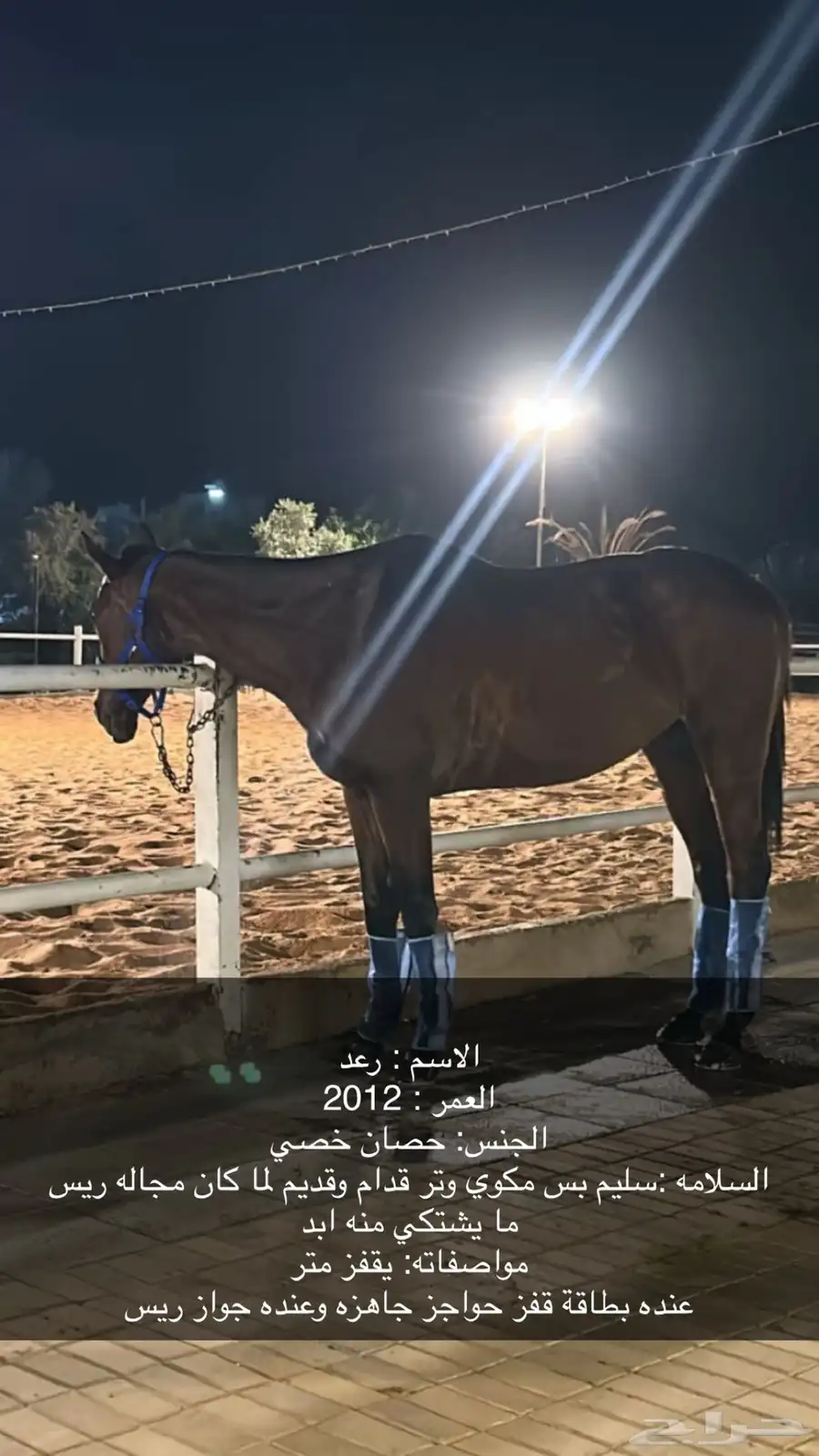 خيل 0
