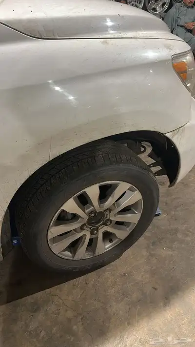 جنوط اسكوياء لمتد 0