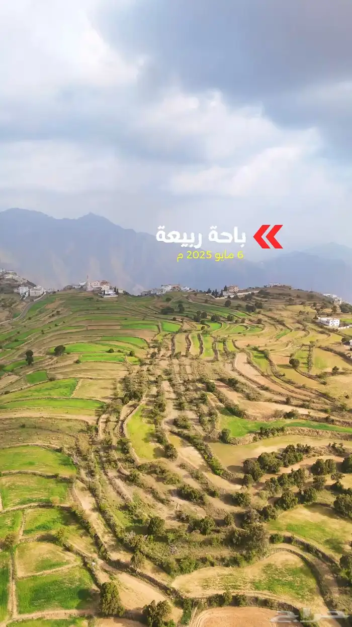 أراضي للبيع في باحة ربيعة 0