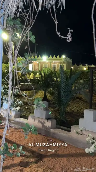ايواء وعسف 5