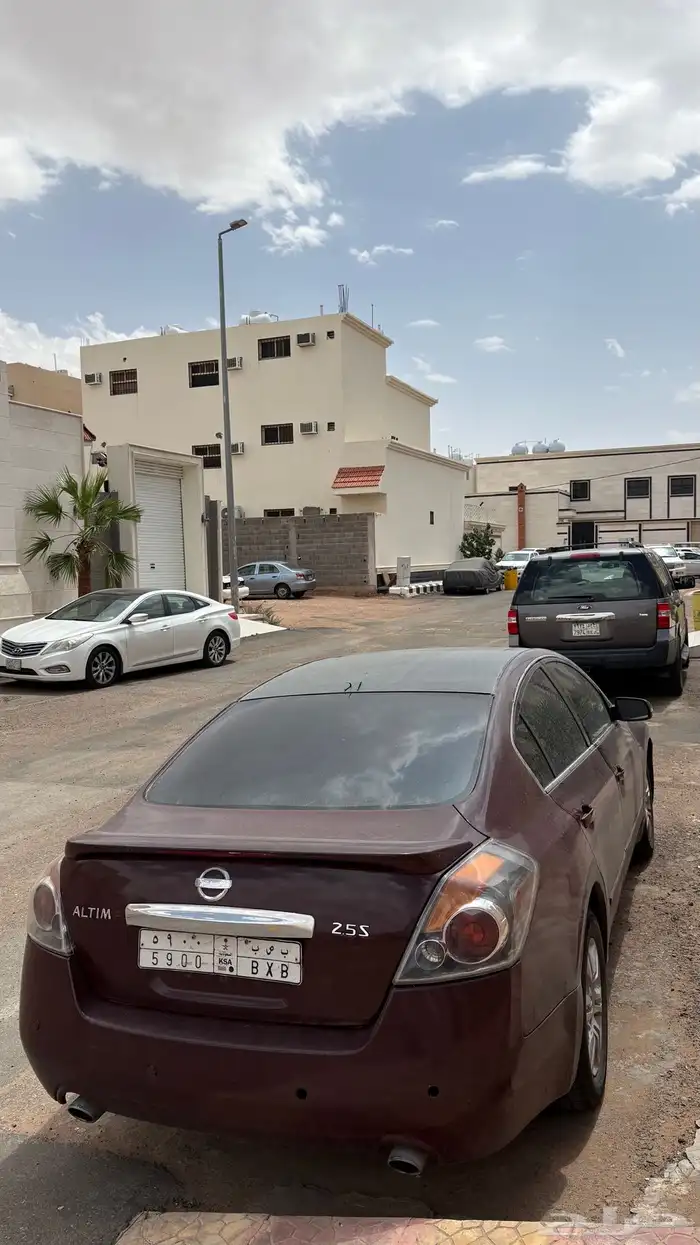التيما 2010 1